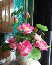 54b60a0d7f72257c2dde5382_all-3.jpg