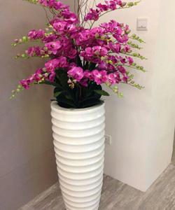 54b60b6a9120f51c0ea5abb6_natural-2.jpg