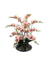54b607da5fd9ff7a2d664e77_orchid-2.jpg