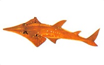 5399422b40e6bc065f94d557_gallery19.jpg