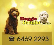 Doggie Delight Pte Ltd