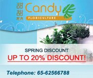 Candy Floriculture Pte Ltd