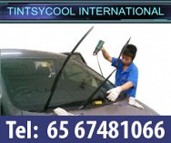 Tintsy Cool International