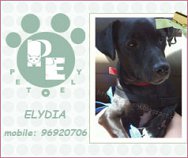Pet.Ely