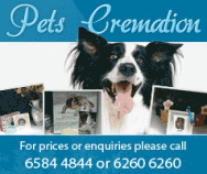 Pets Cremation Center