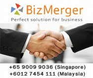 BizMerger