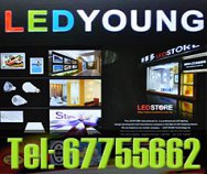 Ledyoung (S) Pte Ltd