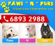 Paws 'n' Furs Pet Shop (S) Pte Ltd