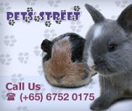 Pets Street