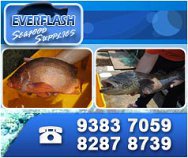 Everflash Seafood Supplies Pte Ltd