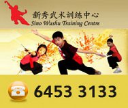 Sino Wushu Training Centre