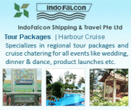 Indo Falcon Shipping & Travel Pte Ltd