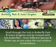 Butterfly Park & Insect Kingdom