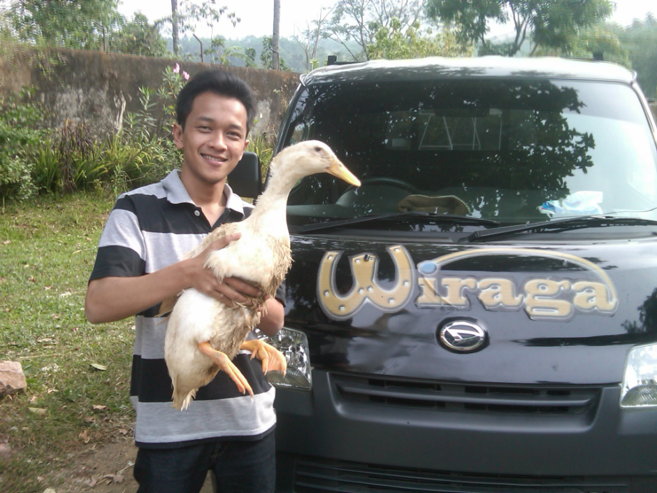 Bebek peking bobot 3kg
