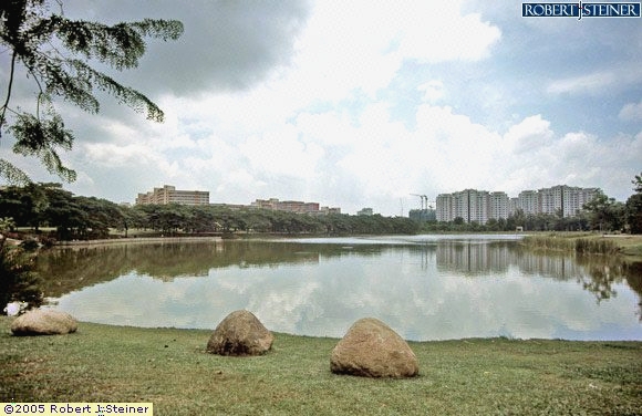 Punggol Park, Pond Overview